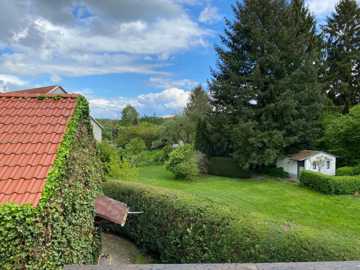 Ferienwohnung Zum Schloss ハルベ エクステリア 写真